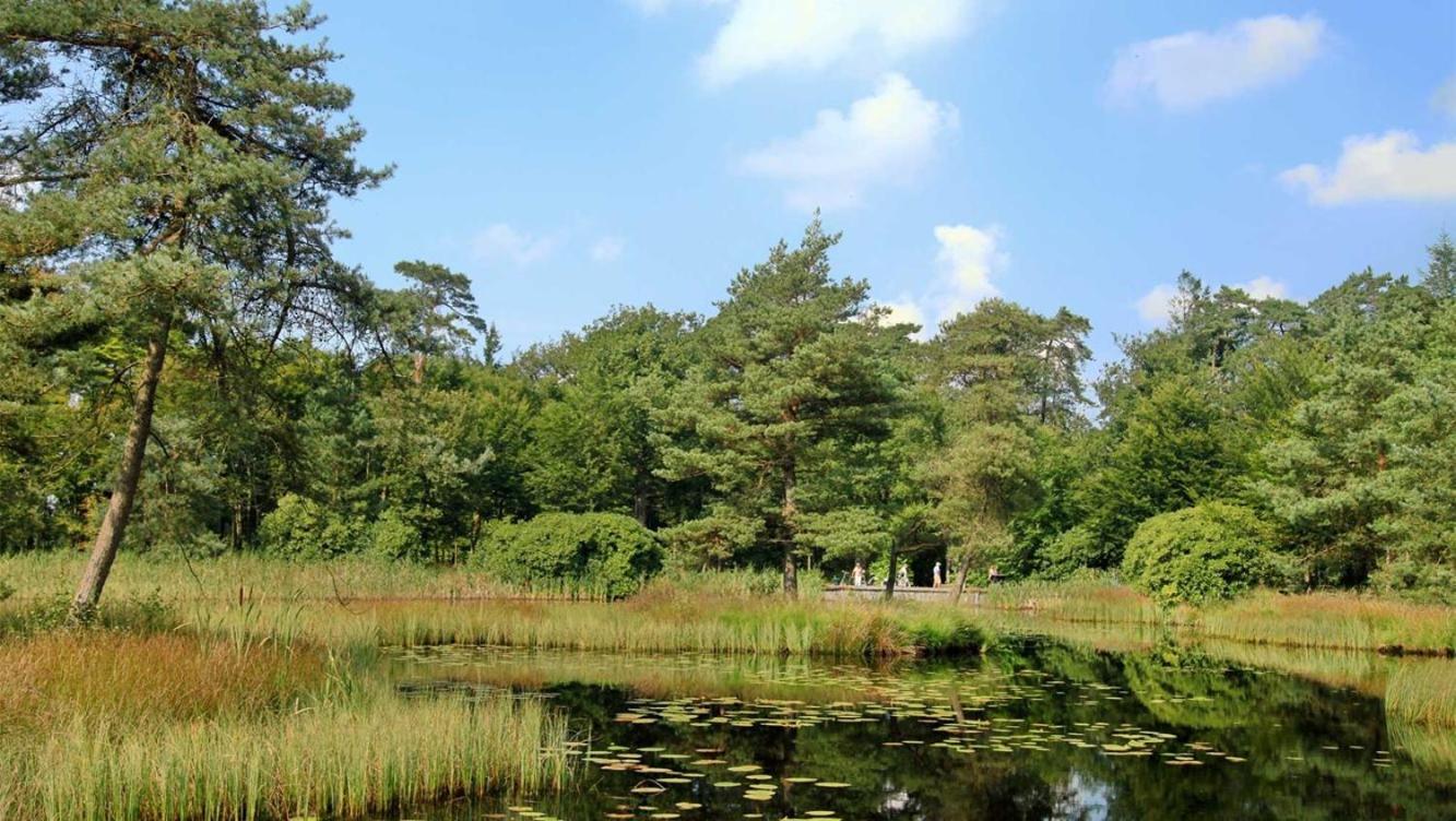 Comfortabel Chalet In Nationaal Park Wateren Ngoại thất bức ảnh